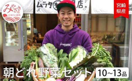 宮崎県産朝どれ野菜セット10～13品(発送日に収穫した新鮮野菜を出荷