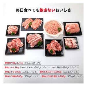 宮崎県産豚バラエティーセット(6種 計3.6kg)　肉 豚 豚肉