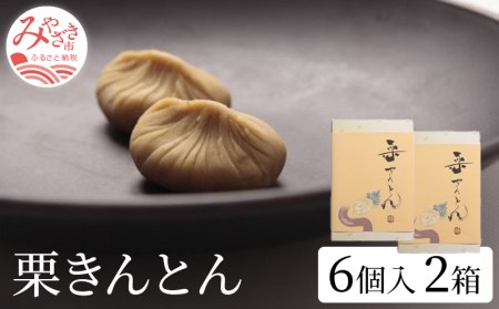 栗きんとん6個入り×2箱セット 栗きんとん 2箱 12個 栗 きんとん 栗餡 栗あん 秋 菓子 お菓子 和菓子 個包装 冷凍 スイーツ ギフト お取り寄せ