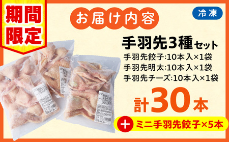 2025年10月発送】【期間・数量限定】手羽先3種セット(手羽先餃子