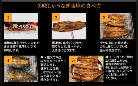 蒲焼き 備長炭手焼き 宮崎市佐土原産 和匠うなぎの蒲焼き4尾セット(計660g&たれ・山椒付き)　鰻蒲焼 ウナギ 冬うなぎ 冬鰻