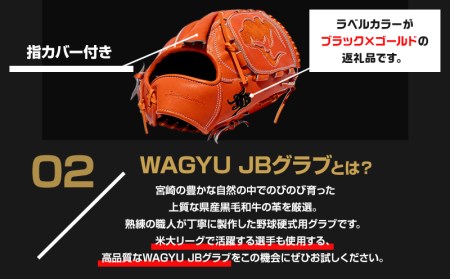 宮崎県産牛革使用 WAGYU JB 硬式用 グラブ 投手用 JB-001Y(オレンジ/右投げ用)