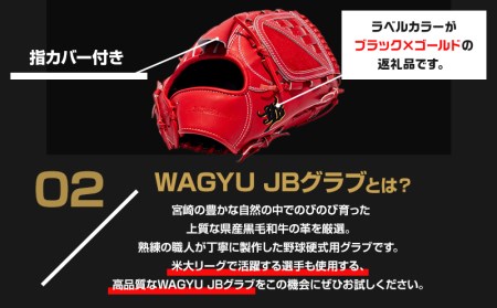 宮崎県産牛革使用 WAGYU JB 硬式用 グラブ 投手用 JB-001Y(パワーオレンジ/右投げ用)