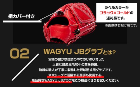 宮崎県産牛革使用 WAGYU JB 硬式用 グラブ 投手用 JB-001Y(パワーオレンジ/左投げ用)
