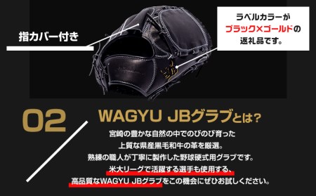 宮崎県産牛革使用 WAGYU JB 硬式用 グラブ 投手用 JB-001Y(ブラック/右投げ用)