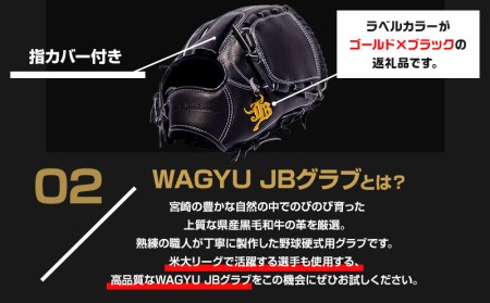 宮崎県産牛革使用 WAGYU JB 硬式用 グラブ 投手用 JB-001T(ブラック/右投げ用)