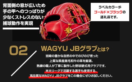 宮崎県産牛革使用 WAGYU JB 硬式用 グラブ 内野手用 JB-004S(パワーオレンジ/右投げ用)