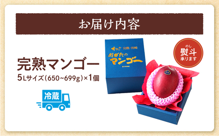 【期間・数量限定】おがたのマンゴー　完熟宮崎マンゴー　5Lサイズ(650～699g)×1個 完熟 くだもの ギフト