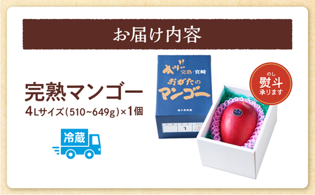 【期間・数量限定】おがたのマンゴー　完熟宮崎マンゴー　4Lサイズ（510～649g）×1個 完熟 くだもの ギフト