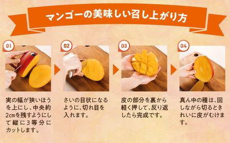 【期間・数量限定】おがたのマンゴー　完熟宮崎マンゴー　2Lサイズ（350～449g）×1個 マンゴー 南国 完熟