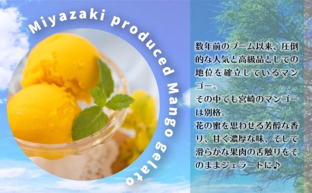 宮崎市産完熟マンゴーで作った濃厚なマンゴージェラート 業務用1000ml