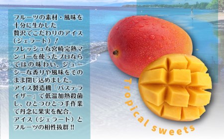 宮崎市産完熟マンゴーで作った濃厚なマンゴージェラート 贈答用 100ml×6個