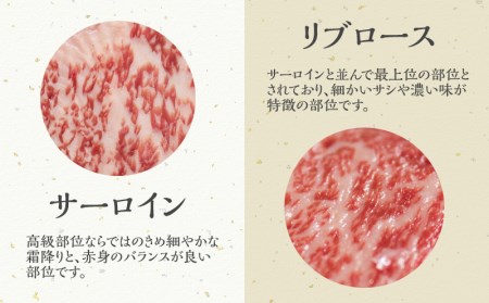 宮崎牛ステーキ食べ比べセット 計400g(サーロインステーキ・リブロースステーキ×各200g)