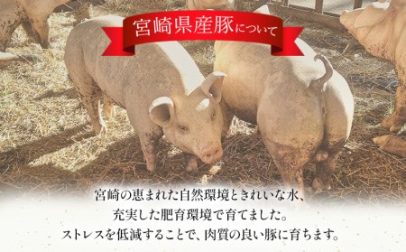 宮崎県産豚スライスセット 計4kg(豚肉 400g×10パック)