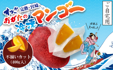 《2025年発送先行予約》【期間・数量限定】おがたのマンゴー　ご自宅用カット済完熟冷凍マンゴー　400g　小分けパック 冷凍 冷凍マンゴー マンゴー