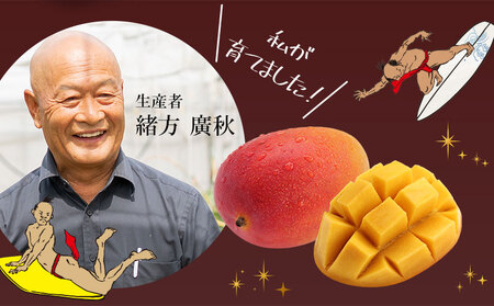 《2025年発送先行予約》【期間・数量限定】おがたのマンゴー　ご自宅用カット済完熟冷凍マンゴー　400g　小分けパック 冷凍 冷凍マンゴー マンゴー