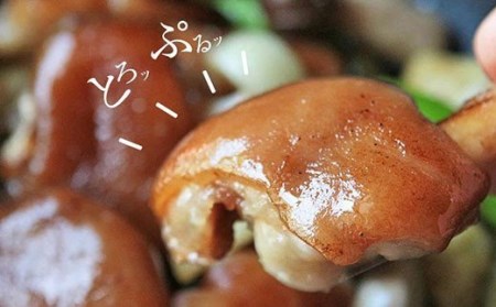 国産豚足てびち(約10kg) 豚足 半割りカット・焼足毛処理済｜宮崎県宮崎