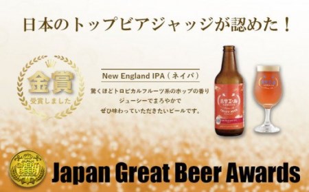 青空エールこだわりのクラフトビール飲み比べ詰め合わせセット〈フルーツビール入り〉6種6本(500mlペットボトル×6本)
