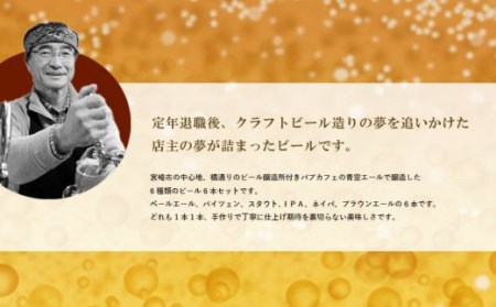 青空エールこだわりのクラフトビール飲み比べ詰め合わせセット6種6本(500mlペットボトル×6本)