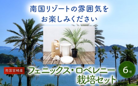 マトリックス 馬鹿げた 永遠の 観葉 植物 フェニックス 育て 方 財布 代表 文言