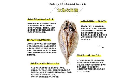 干物詰合せ Aセット 骨まで食べられる 焼き魚あじ開き 鯵の干物 干物セット 宮崎県宮崎市 ふるさと納税サイト ふるなび