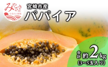 《2022年発送》宮崎市産 パパイア 約2kg 3~5玉入り