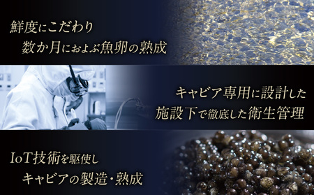 宮崎キャビア1983 オシェトラプレミアム (20g) キャビア 魚卵 熟成