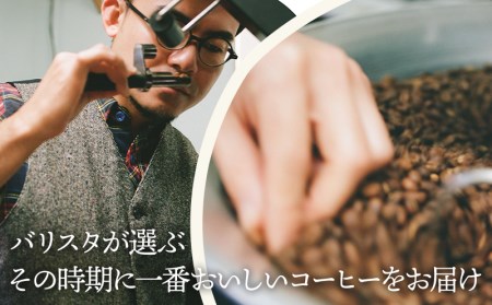 《豆のまま》バリスタおすすめのコーヒー250g×2種類(計500g)