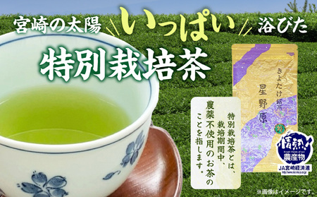 宮崎市 清武町産 緑茶4点セット 計380g