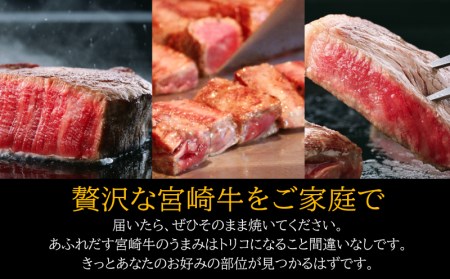 定期便 宮崎牛だけのステーキ(3ヶ月コース)