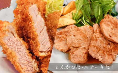 宮崎県産豚ヒレブロック3本(約1.2kg～1.5kg)