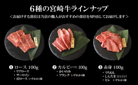 宮崎牛特選食べ比べ6種盛り(計600g)