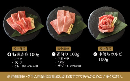 宮崎牛特選食べ比べ6種盛り(計600g)