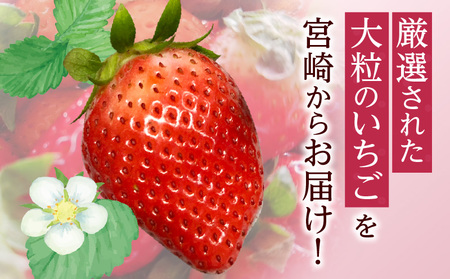 《2026年発送》【数量・期間限定】宮崎市産いちご みつひめ スタンダード 4パック いちご 苺 イチゴ 果物 フルーツ 大粒