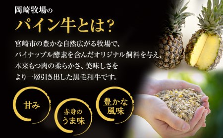 宮崎県産 黒毛和牛 パイン牛 メンチカツ 12個