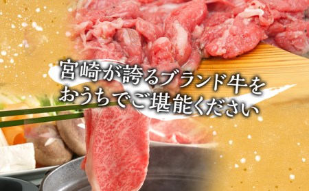 宮崎牛モモスライス・切り落としセット(計800g)　肉 牛 牛肉