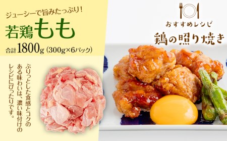 宮崎県産若鶏もも・むね 切り身小分けパック(計5.4kg)