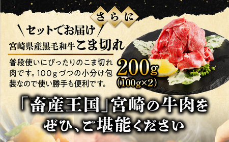 【期間限定】宮崎牛モモ焼肉500g×1 宮崎牛バラ焼肉500g×1 宮崎県産黒毛和牛小間切れ100g×2 合計1.2kg モモ バラ こま切れ 牛肉 ミヤチク