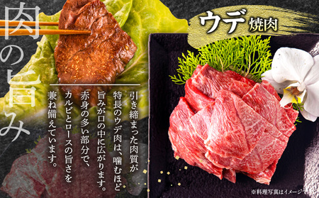 【期間限定】宮崎牛肩ロース焼きしゃぶ400g 宮崎牛ウデ焼肉500g 合計900g 牛 肉 国産 