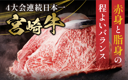宮崎牛サーロインステーキ 2枚(計400g)　肉 牛