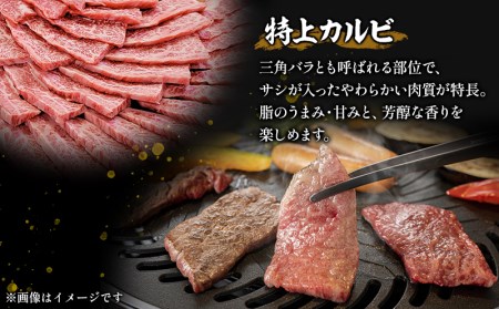 宮崎牛特上カルビ(三角バラ) 焼肉用150g×4(計600g)　肉 牛 牛肉