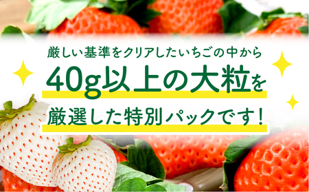 《2026年発送》【数量・期間限定】宮崎県産 幸せの紅白いちごセット(おおきみ&天使のいちご)大サイズ2パック いちご 果物 フルーツ