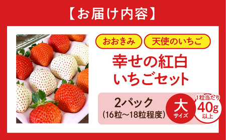 《2026年発送》【数量・期間限定】宮崎県産 幸せの紅白いちごセット(おおきみ&天使のいちご)大サイズ2パック いちご 果物 フルーツ