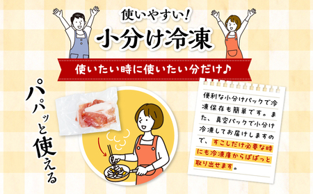 宮崎県産 豚こま切れ:250g×20パック 合計5kg 豚肉 こま切れ 宮崎県産  