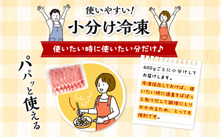宮崎県産 豚ローススライス (400g×5パック) 合計2kg　　豚肉 炒め物 ロース