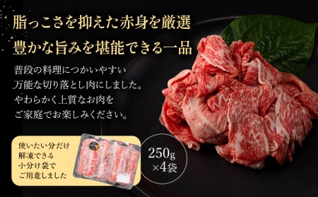 宮崎県産 黒毛和牛 パイン牛 赤身 切り落とし (モモウデ) 250g×4袋 合計1kg