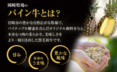 宮崎県産 黒毛和牛 パイン牛 赤身 切り落とし (モモウデ) 250g×4袋 合計1kg