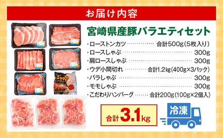 宮崎県産豚 バラエティセット 7種 合計3.1kg 豚肉 肩ロース 小間切れ