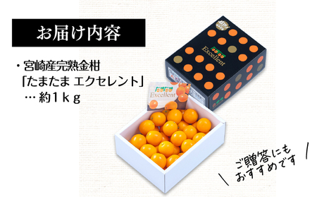 《2025年発送先行予約》【期間・数量限定】完熟金柑たまたまエクセレント 約1kg 金柑 エクセレント 柑橘