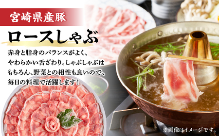 宮崎県産豚 ロース1kg&チーズインハンバーグ5個 セット